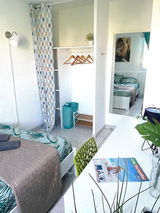 Appt Lumineux, Piscine, Wifi Apartman Montpellier Kültér fotó