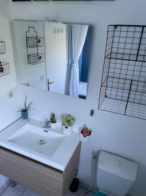 Appt Lumineux, Piscine, Wifi Apartman Montpellier Kültér fotó